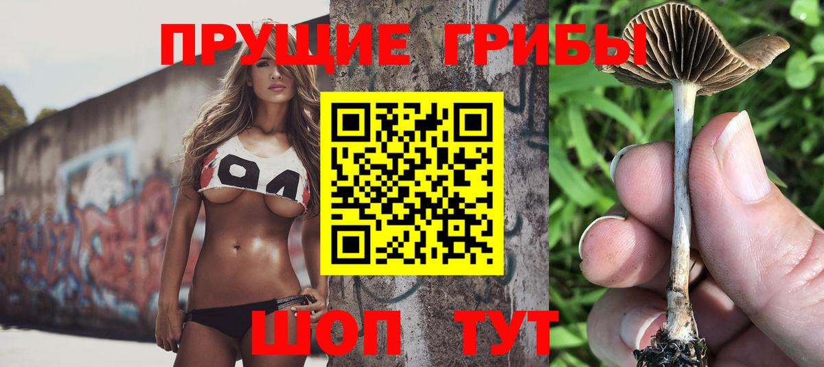 Куйбышев  Псилоцибиновые грибы мухоморы  Вход с VPN 